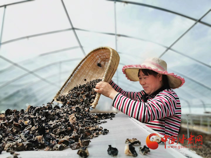 康縣：木耳菌袋結(jié)出脫貧致富的“幸?；ā?>
        </a><em>康縣：木耳菌袋結(jié)出脫貧致富的“幸?；ā?/em></li>
    <li><a  target=