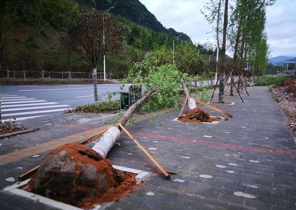 刮風(fēng)下雨加速新冠病毒傳播？別信！