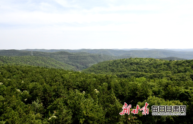 【甘肅生態(tài)環(huán)保媒體行】子午嶺深處，一家三代人用生命守護(hù)黃土高原的“天然生態(tài)屏障”