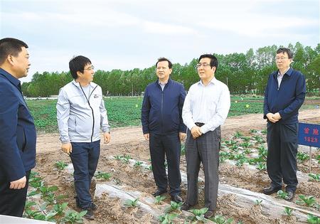 林鐸在天?？h調研指導脫貧攻堅工作時強調  拉開架勢持續(xù)用力構建扶貧產業(yè)體系 多措并舉固強補弱鞏固提升脫貧成果