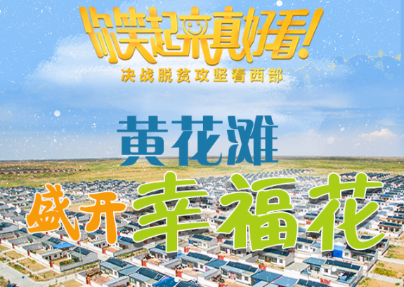 【你笑起來真好看】黃花灘盛開幸?；ǎ▓D解）