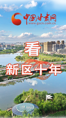 圖解|崛起！新區(qū)十年