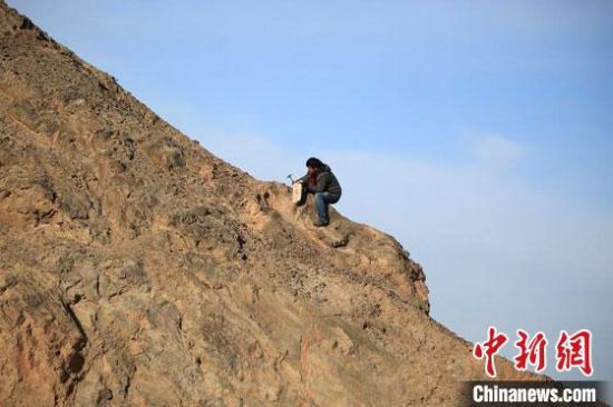 圖為敦煌“80后”畫家張杰龍在敦煌三危山里采集礦石顏料。(資料圖)受訪者供圖