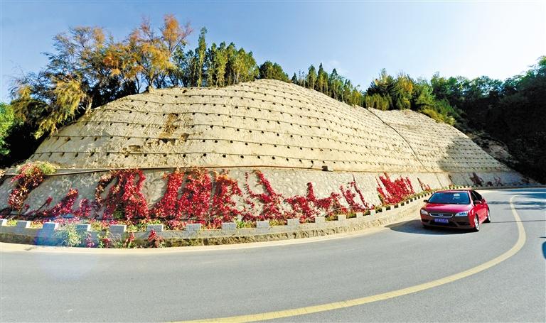 近90度陡坡上種樹(shù)！蘭州南北兩山綠化出新招
