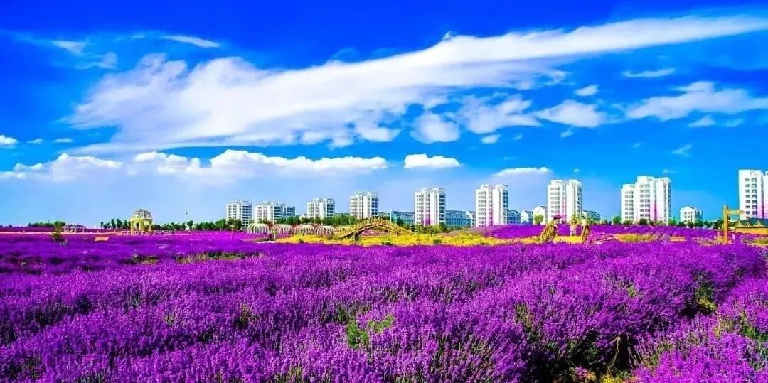 喜訊！金昌蟬聯(lián)全國文明城市
