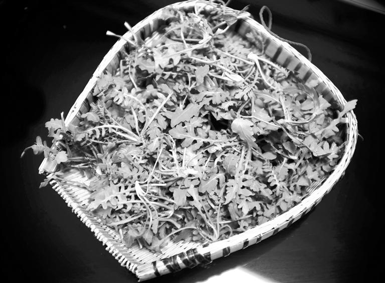 甘肅美食丨摘野菜，咬個“春”，讓味蕾清新起來