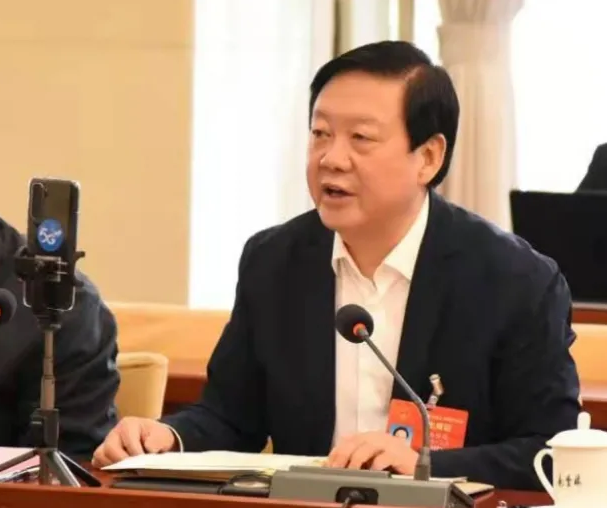 【聚焦2021全國兩會】全國人大代表、市委書記楊維俊接受中國日報記者采訪