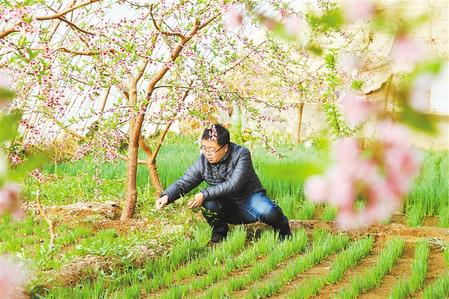 甘肅：時(shí)令催人耕種忙，不誤田間一季春