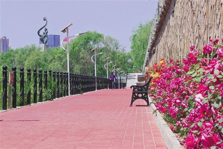 金城蘭州：河道健身步道蝶變花海景觀(guān)長(zhǎng)廊