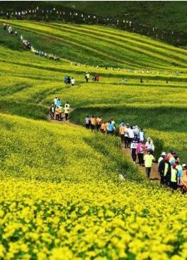 甘肅明確農(nóng)民進(jìn)城落戶:不以退出承包地、林地等為條件