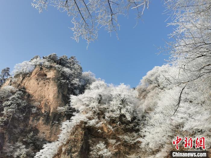 圖為藍天下霧凇籠罩山脈?！⌒煺袢A 攝