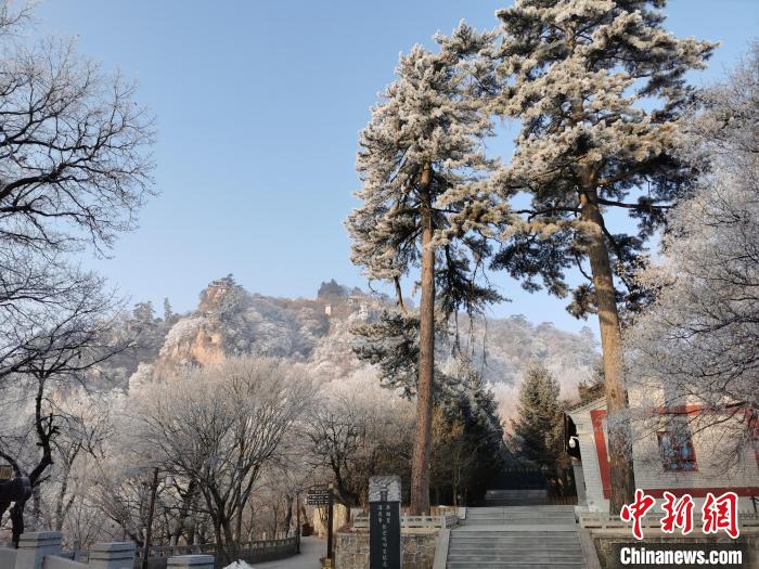 圖為崆峒山霧凇景色美不勝收?！⌒煺袢A 攝
