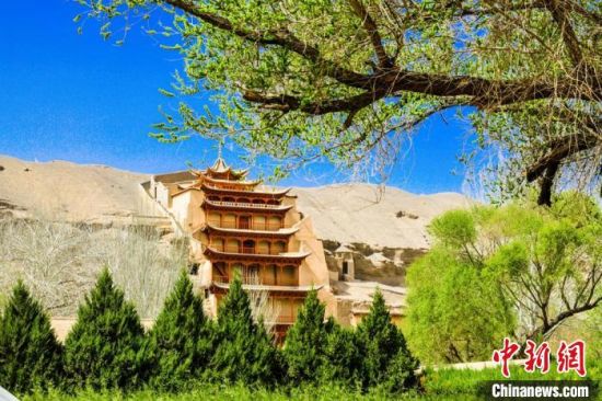 4月的敦煌莫高窟景區(qū)春意盎然。(資料圖) 王斌銀 攝