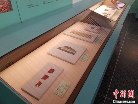 圖為展覽現(xiàn)場。　敦煌研究院供圖