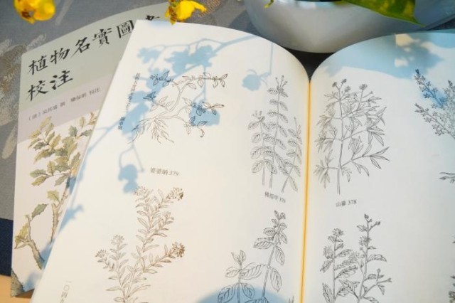 《植物名實圖考校注》內(nèi)頁。圖片來源：中華書局供圖