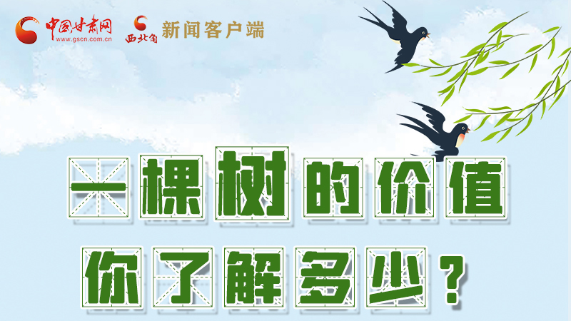 圖解|一棵樹的價(jià)值你了解多少?來看！