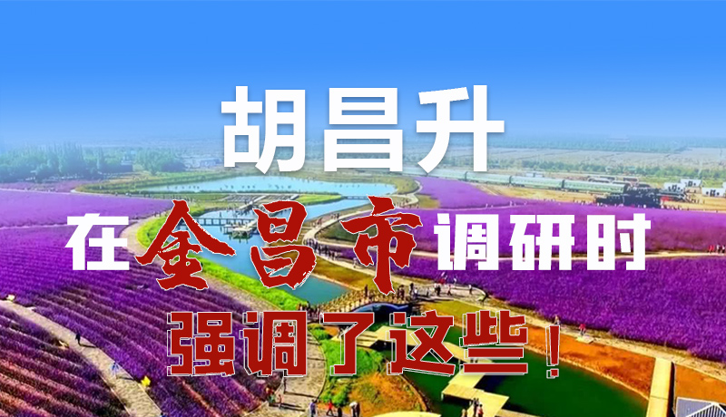 圖解|胡昌升在金昌市調(diào)研時強調(diào)了這些！