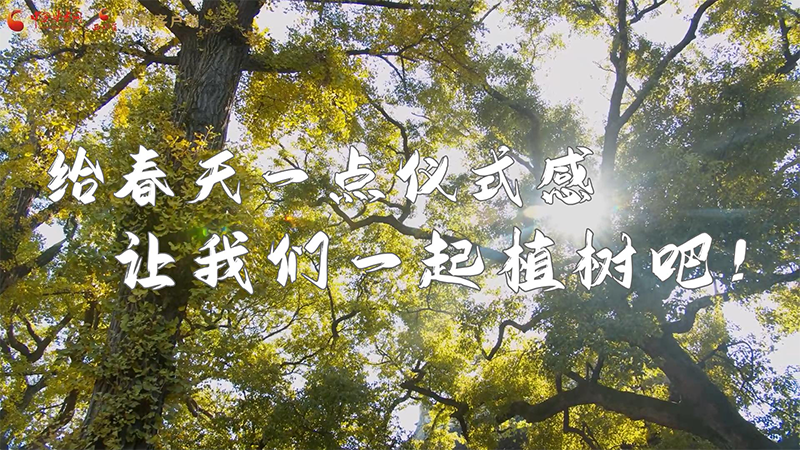 短視頻|給春天一點(diǎn)儀式感，讓我們一起植樹吧！