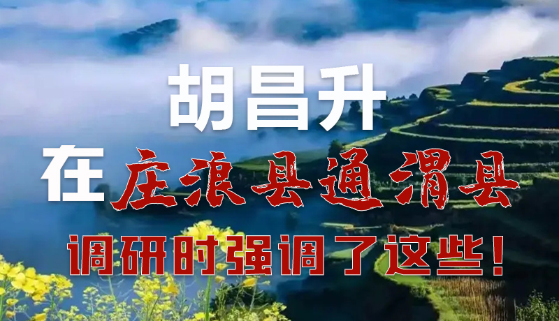 圖解|胡昌升在莊浪縣通渭縣調(diào)研時強調(diào)了這些！