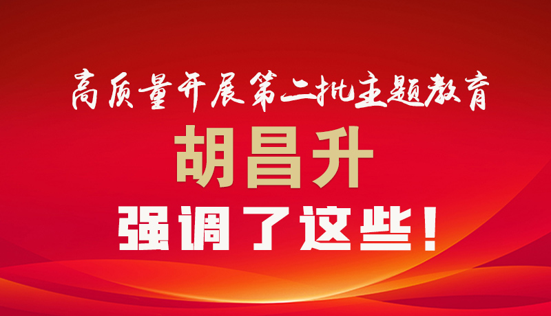 圖解|高質(zhì)量開展第二批主題教育 胡昌升強調(diào)了這些！