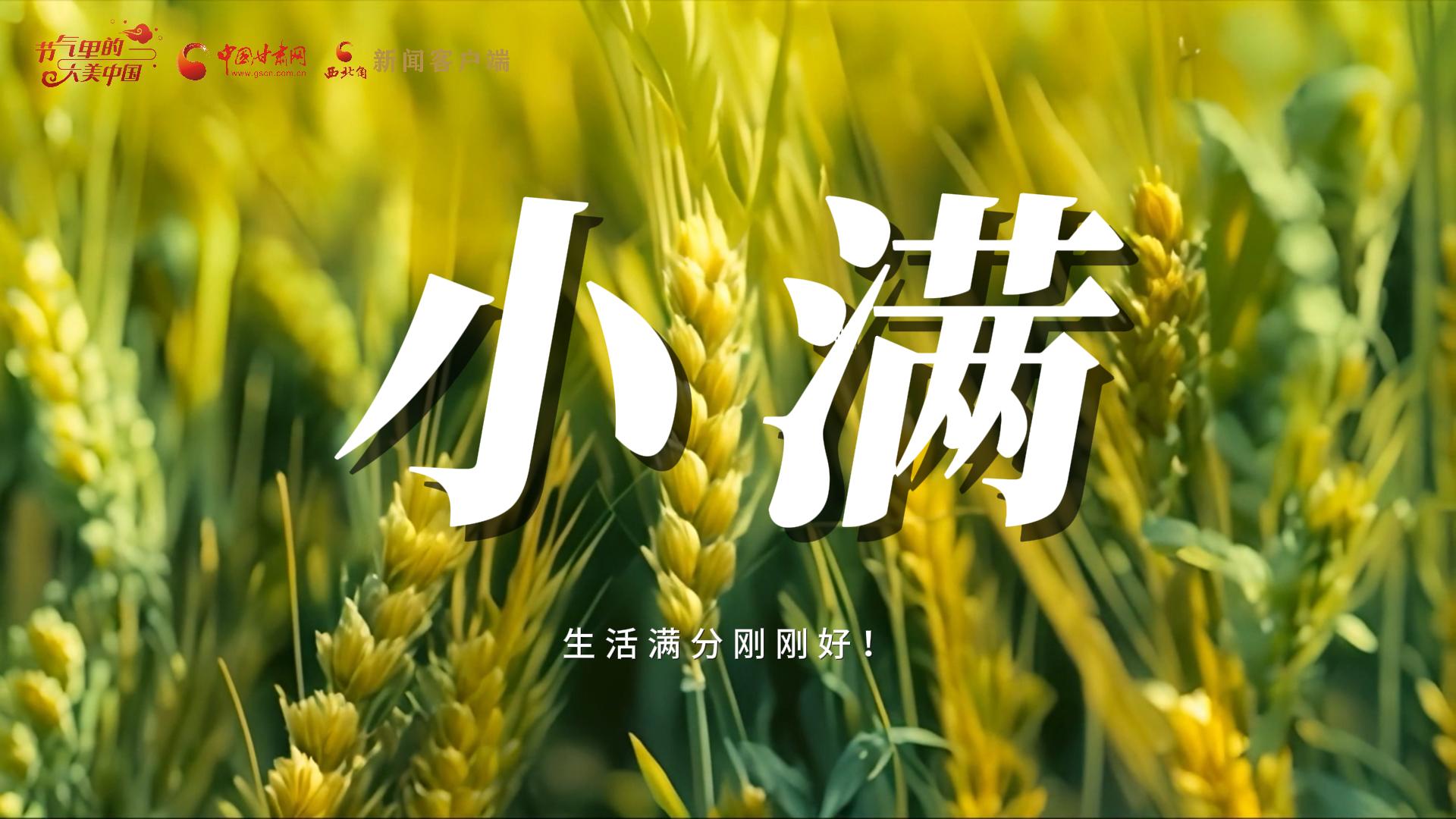 【節(jié)氣里的大美甘肅·小滿】生活滿分剛剛好！
