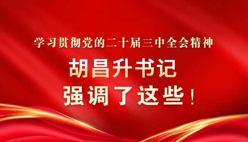 圖解|學(xué)習(xí)貫徹黨的二十屆三中全會精神 胡昌升書記強調(diào)了這些！