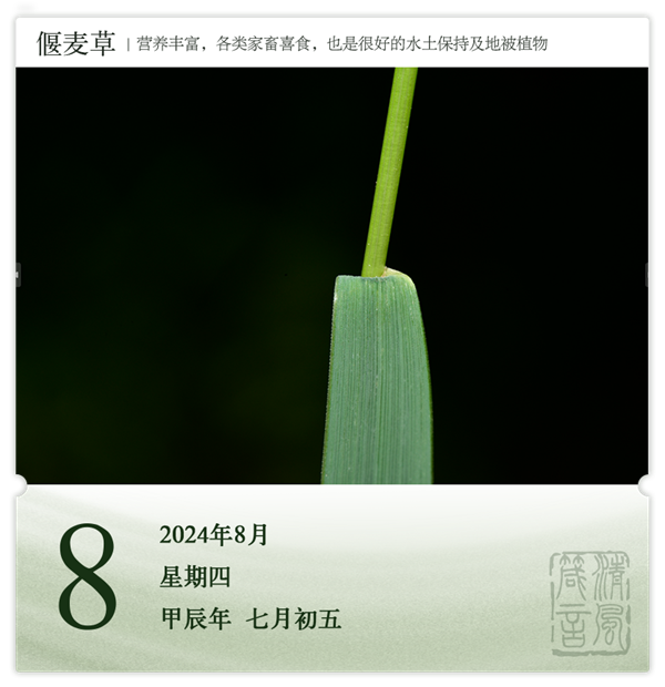 箴歷日歷8-8.png