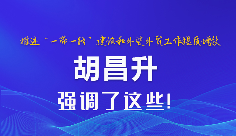 圖解|推進“一帶一路”建設(shè)和外資外貿(mào)工作提質(zhì)增效 胡昌升強調(diào)了這些