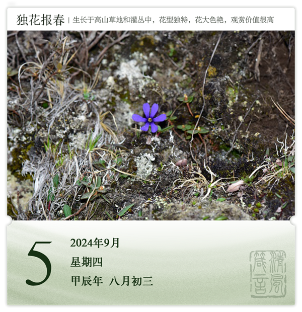1725443763376710.png 箴歷日歷9-5.png
