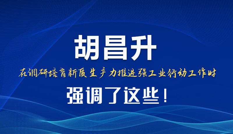 圖解|胡昌升在調研培育新質生產力推進強工業(yè)行動工作時強調了這些！