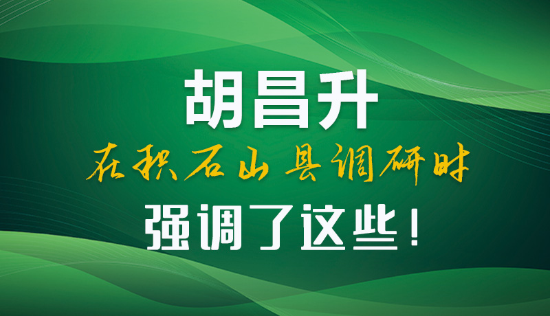 圖解|胡昌升在積石山縣調(diào)研時(shí)強(qiáng)調(diào)了這些！