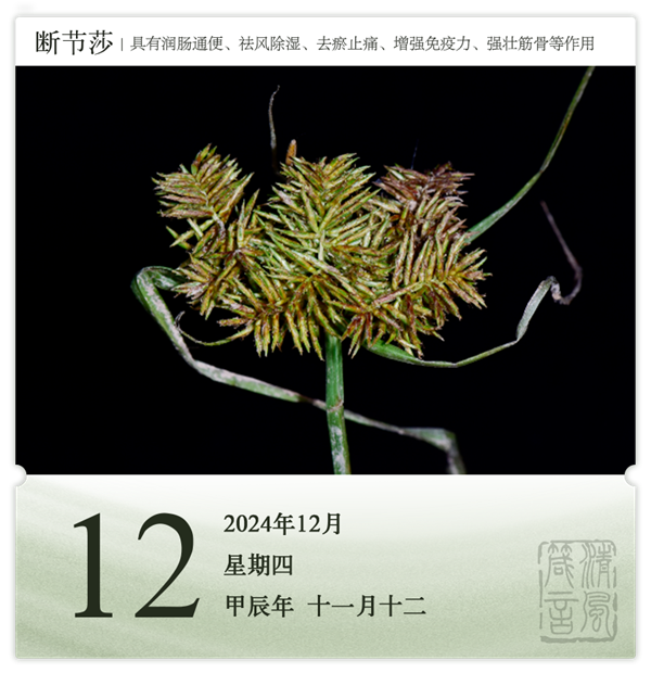 箴歷日歷12-12.png