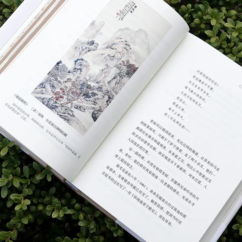 圖片