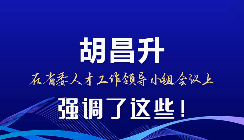 圖解|胡昌升在省委人才工作領導小組會議上強調了這些！
