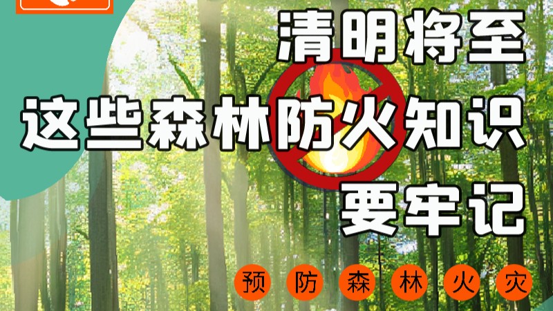 【甘快看】圖解|緊繃“安全弦”！清明，這些森林防火知識要牢記