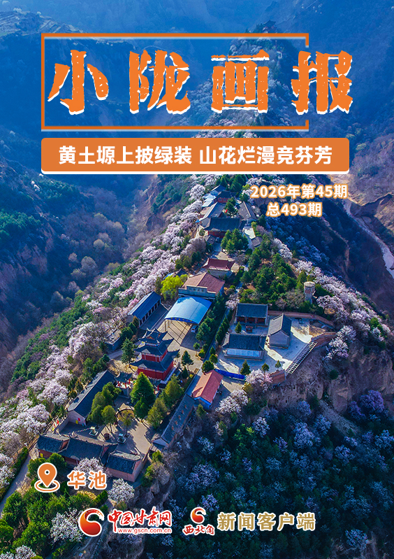 【小隴畫報·493期】華池：黃土塬上披綠裝 山花爛漫競芬芳